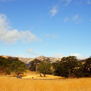 Bilder Downrange - Die Zielscheibe bist du!