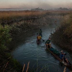 Bilder Into the Okavango