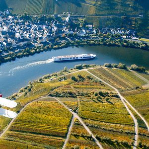 Bilder Grüner wird’s nicht, sagte der Gärtner und flog davon