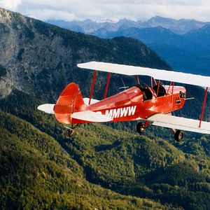 Bilder Grüner wird’s nicht, sagte der Gärtner und flog davon