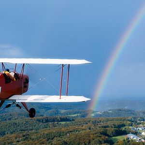 Bilder Grüner wird’s nicht, sagte der Gärtner und flog davon