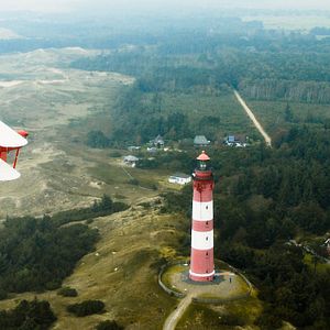 Bilder Grüner wird’s nicht, sagte der Gärtner und flog davon