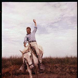 Bilder Wo kommst Du her, Johnny?