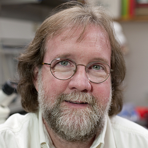 Bilder Sean B. Carroll