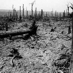 Bilder Le Rouge et le Gris, Ernst Jünger dans la grande guerre - Partie 2