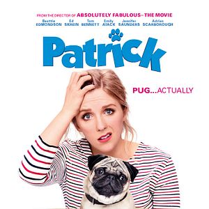 Bilder Ein Mops zum Verlieben