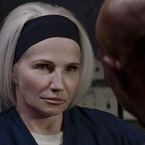 Bilder Animal Kingdom