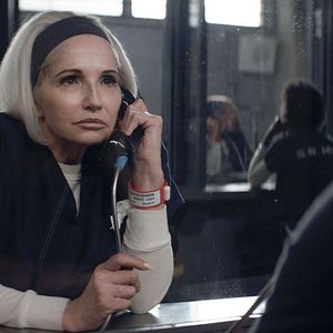 Bilder Animal Kingdom