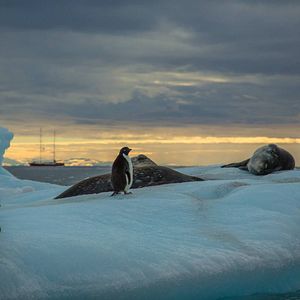 Bilder Expedition Infinity - Reise ans andere Ende der Welt