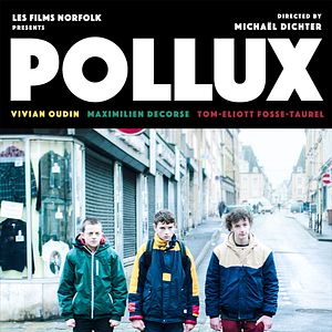 Bilder Pollux (court)