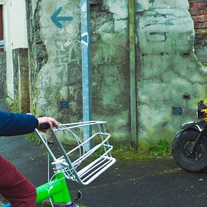 Bilder Pollux (court)