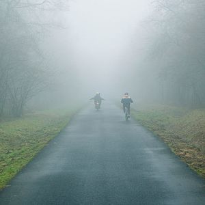 Bilder Pollux (court)