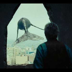 Bilder Los Versos del Olvido - Im Labyrinth der Erinnerung