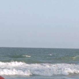 Bilder Dê Lembranças a Todos