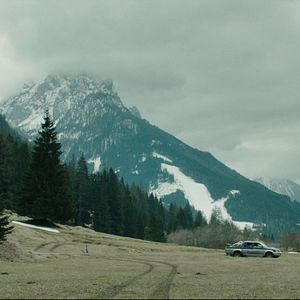 Bilder Deep In The Wood