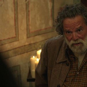 Bilder Deep In The Wood