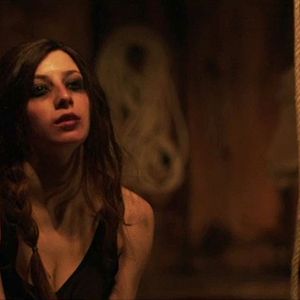 Bilder Deep In The Wood