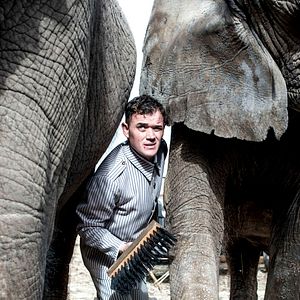 Bilder O grande circo místico