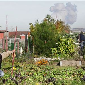 Bilder Grande-Synthe