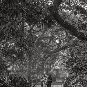 Bilder Hilda Hilst Pede Contato