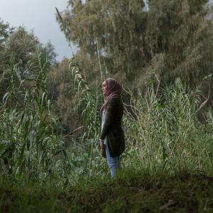 Bilder Warten auf Schwalben