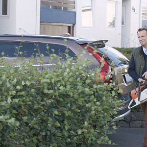 Bilder Under The Tree