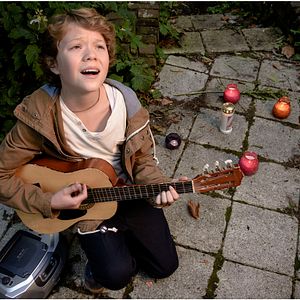 Bilder Rhabarber Rhabarber