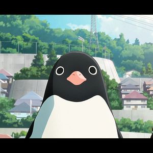 Bilder Penguin Highway