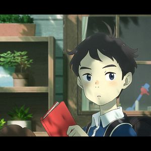 Bilder Penguin Highway