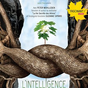 Bilder Intelligente Bäume