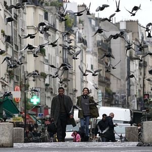 Bilder Looking for Leila