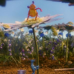 Bilder Tootletubs & Jyro