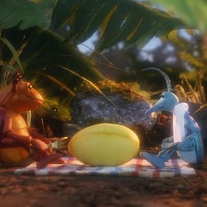 Bilder Tootletubs & Jyro