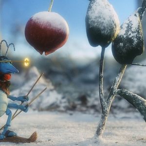 Bilder Tootletubs & Jyro