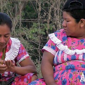 Bilder Siempre andamos caminando