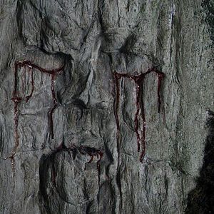 Bilder Game Of Thrones