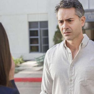 Bilder Omar Metwally