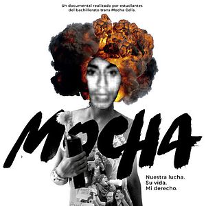 Bilder Mocha