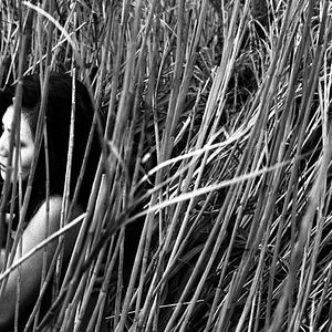 Bilder Twisted Path of Youth