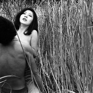 Bilder Twisted Path of Youth