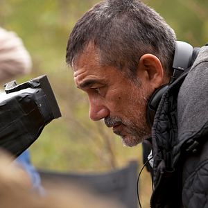 Bilder The Wild Pear Tree