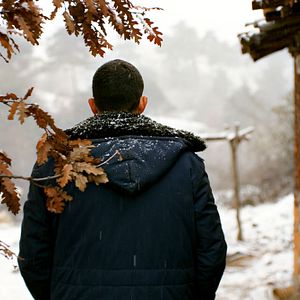 Bilder The Wild Pear Tree