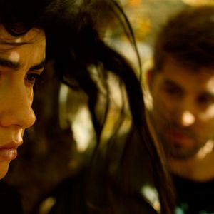 Bilder The Wild Pear Tree