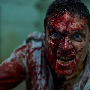 Bilder Scare Campaign