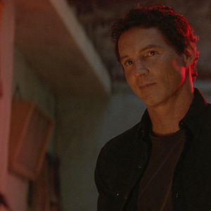 Bilder Animal Kingdom