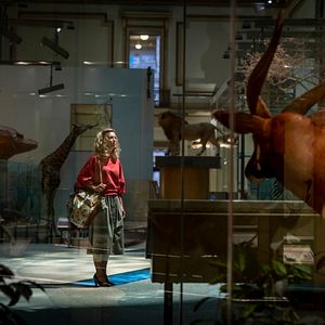 Bilder Wonder Woman 1984