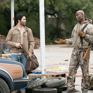 Bilder The Domestics