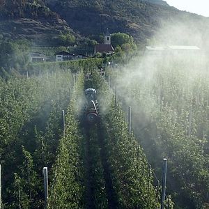 Bilder Das Wunder von Mals