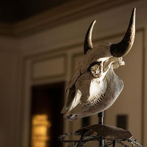 Bilder I Am The Night