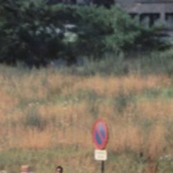 Bilder Durante L'estate